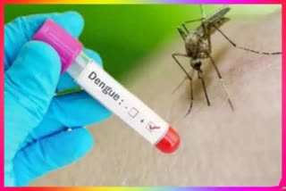 dengue cases update delhi