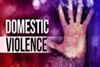 Domestic Violence Crime Number Pune