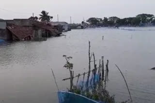 Fish Farming of Sundarban badly affected by Cyclone Yaas