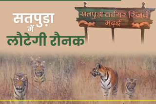 satpura national park open for tourist