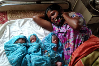 woman gave birth to three children in ranchi