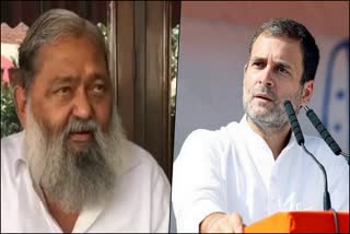 anil vij on rahul gandhi