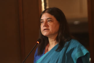 maneka gandhi