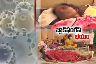 Black fungus cases increasing in AP