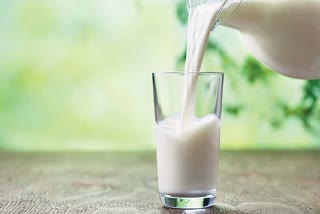 milk production in india and Rajsthan