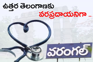 warangal medical hub