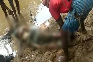 dead-body-of-the-woman-recovered-from-the-pond-in-latehar