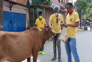 ধুবুৰীত ৰাজপথৰ ভোকাতুৰ জীৱ-জন্তুৰ কাষত স্বেচ্ছাসেৱী সংগঠন