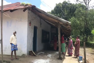 wild elephant attack  grocery shop destroyed  wild elephant attack munnar  കാട്ടാന ആക്രമണം  പലചരക്ക് കട  പുണ്യവേൽ