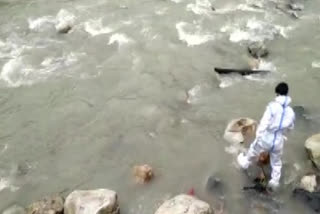 Covid-19: Dogs feed on corpses at riverbank in Uttarakhand's Uttarkashi