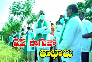 Harish rao: వరిసాగులో వెదసాగు పద్ధతిని రైతులు ప్రోత్సహించాలి