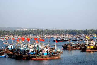 Sindhudurg fishing boats accumulated news