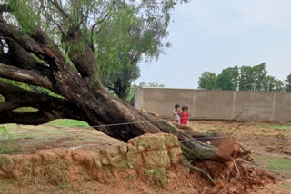 Power supply disrupted due to storm and rain in Ranchi