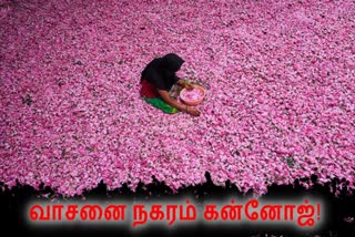 கன்னோஜ்