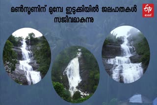 ഇടുക്കിയിലെ വേനൽമഴ  ഇടുക്കിയിൽ ജലപാത  ജലപാതകൾ ഇടുക്കിയിൽ സജീവം  കേരള മൺസൂൺ  kerala monsoon news  Waterfalls idukki news  idukki waterfalls