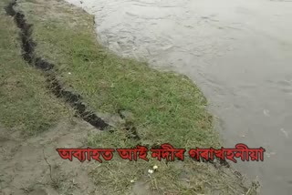 aai river erision will control very soon