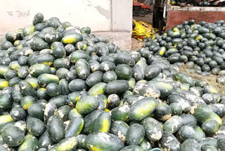 watermelon sale affect due to lockdown in amravati