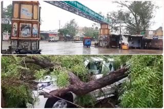 strong storm in ajmer, अजमेर में तेज आंधी