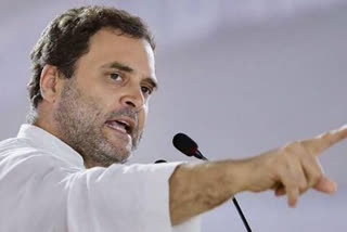 rahul gandhi slams modi govt on covid death data