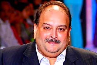 Mehul Choksi
