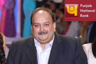 mehul-choksi-will-be-deported-to-india-dominica-government-tells-to-court