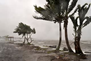 cyclone yaas  odisha yaas cyclone  യാസ് ചുഴലിക്കാറ്റ്  ഒഡീഷ യാസ് ചുഴലിക്കാറ്റ്  10 കോടിരൂപയുടെ നാശനഷ്ടം  odisha pegs losses  നവീൻ പട്‌നായിക്  naveen patnaik