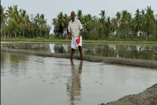 விவசாயி சாதனை