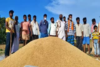 Lack of paddy buyers