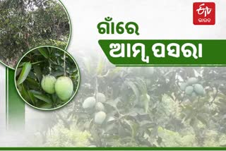 ଆମ୍ବ ବ୍ୟବସାୟୀଙ୍କ ଉପରେ କୋରୋନା ମାଡ: ଆରମ୍ଭ ହେଲା 'ଗାଁ ଆମ୍ବ ପସରା'