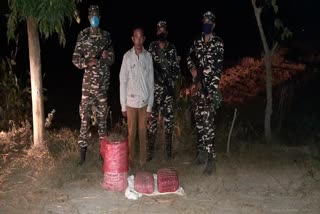 ssb arrested a smuggler with hemp