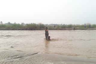 villagers save a young woman flowing in water