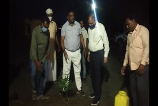 SDM and Tehsildar did plantation