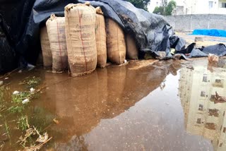 Grain soaked in rains in Metpalli, Jagittala district