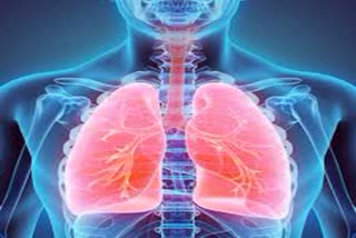 experts appeal for strengthen lungs