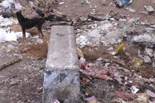 Meat waste dumped on the roadside