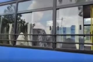 gunjapadugu sbi bank robbery