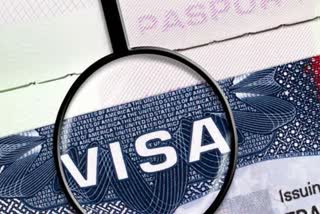 visa fraud