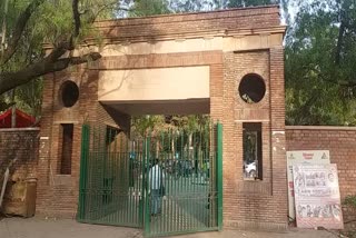 Delhi University