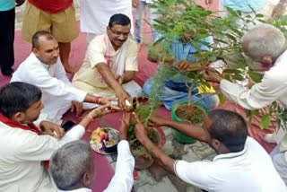 Tree planting program