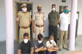 accused arrested, theft case, Alwar police