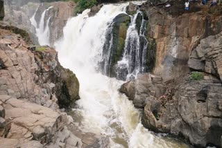 The water level in the Hogenakkal Cauvery River is low