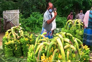 Namakkal Banana prices plummet: Farmers suffer