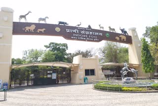 Kamala Nehru Zoological Museum