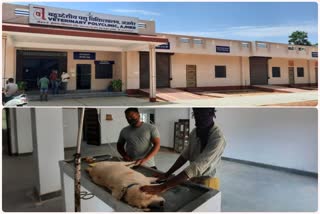 पशु चिकित्सालय, veterinary hospital