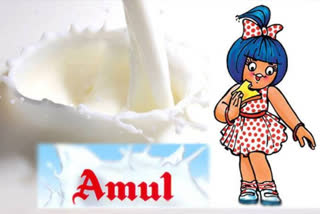 amul milk procurement in ap