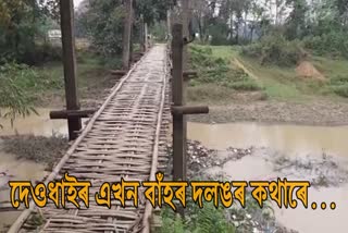 mla-chakradhar-gogoi-donated-5-thousand-to-construction-a-bamboo-bridge