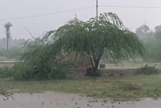 बांसवाड़ा में हुई तेज बारिश, heavy rain in banswara