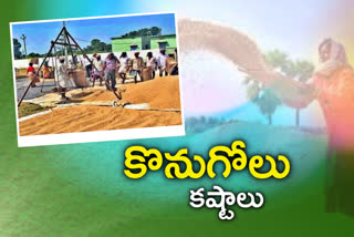 paddy purchase, paddy purchase problems, paddy purchase in telangana, paddy purchase in mahabubnagar