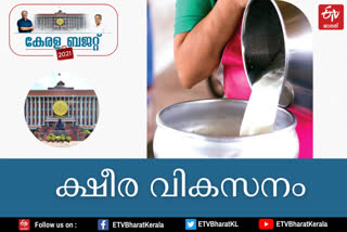 ക്ഷീര മേഖലയ്‌ക്ക് പത്ത് കോടി  ക്ഷീര മേഖല  കേരളബജറ്റ്2021  keralabudget20201  രണ്ടാം പിണറായി സർക്കാർ ബജറ്റ്  Budget  kerala budget  കെഎൻ ബാലഗോപാൽ  Dairy sector  Dairy sector in kerala budget