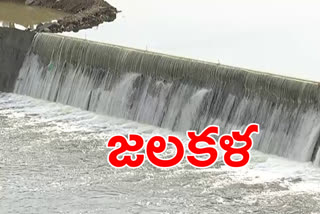 munneru checkdam overflowing